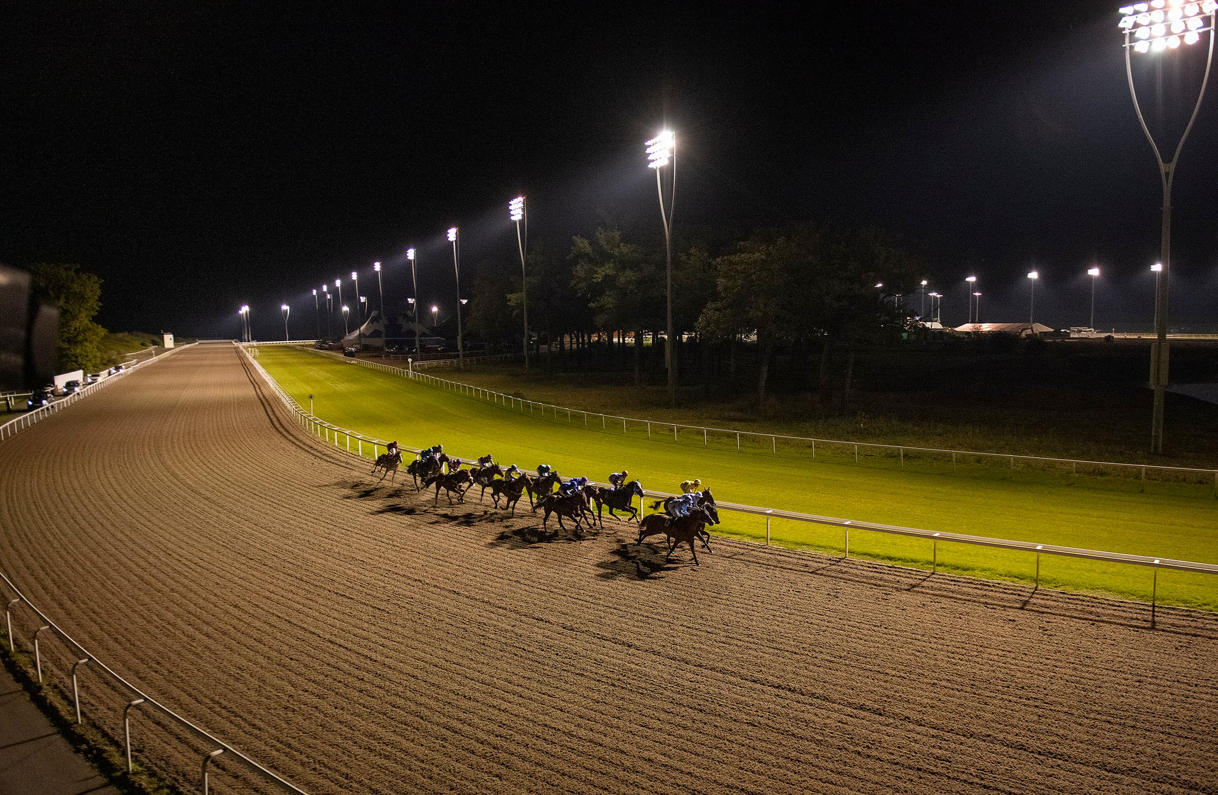 Chelmsford City
