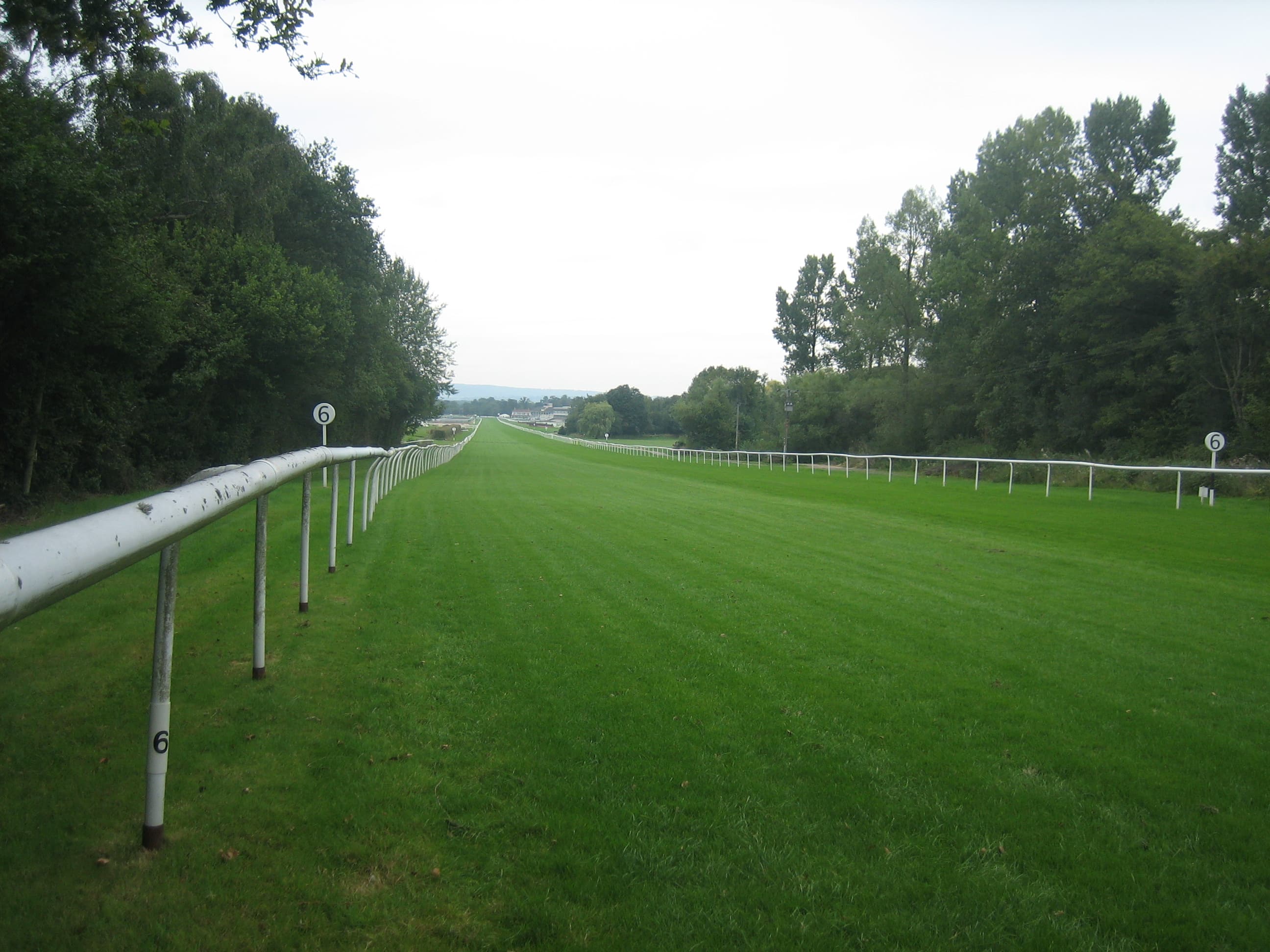 Lingfield Park