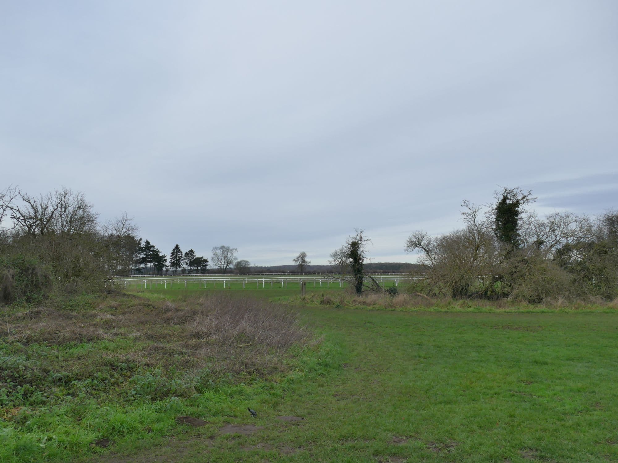 Thirsk